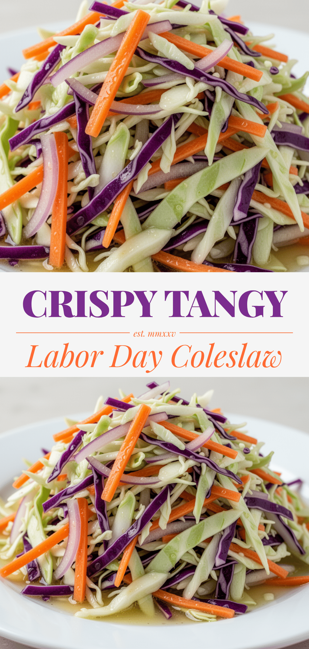 Classic Coleslaw: Tangy Vinegar Recipe for BBQ 5 tangy vinegar coleslaw recipe